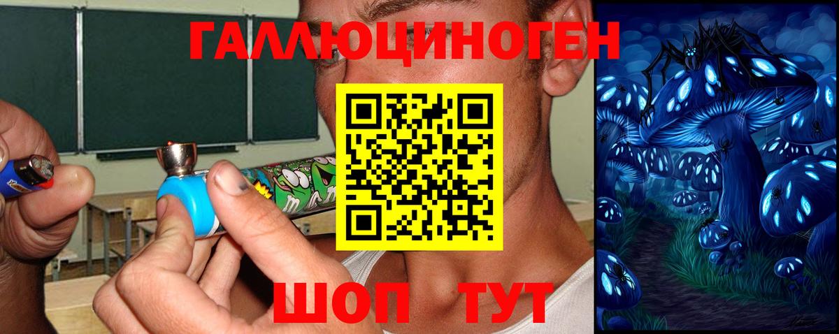 Галлюциногенные грибы Psilocybine cubensis  Вход с VPN  Богородицк  Галлюциногенные грибы прущие грибы 